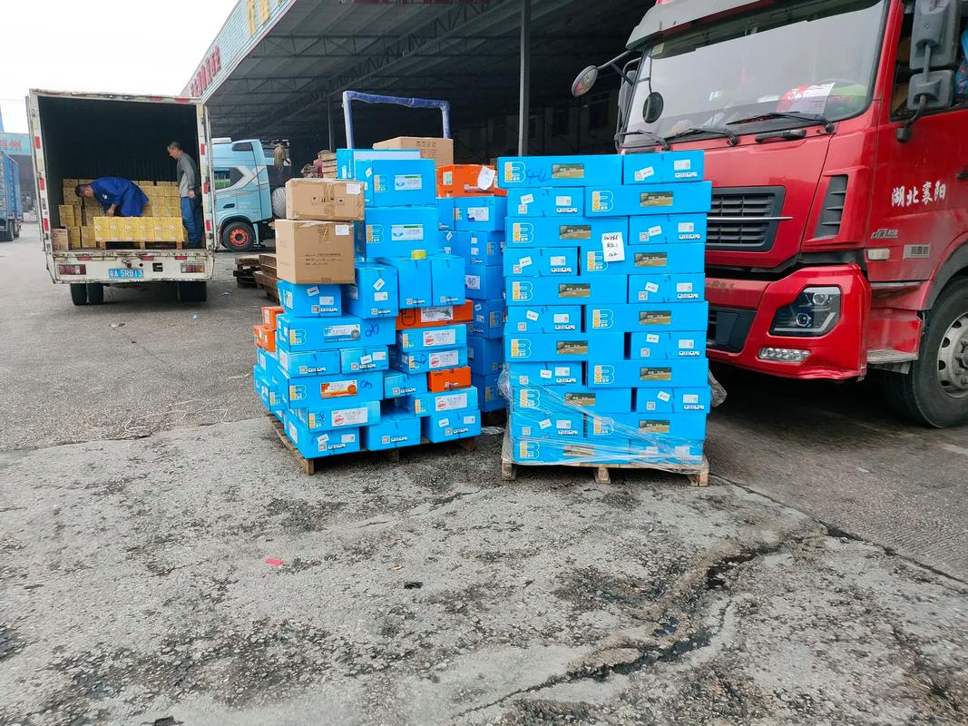 昆明到大理冷链蔬菜整车运输案例：装载加固执行记录